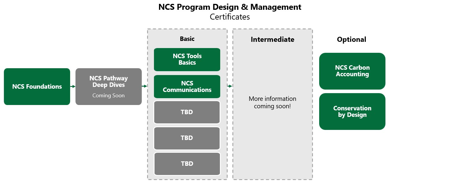 NCS Program Design & Management Certificates
