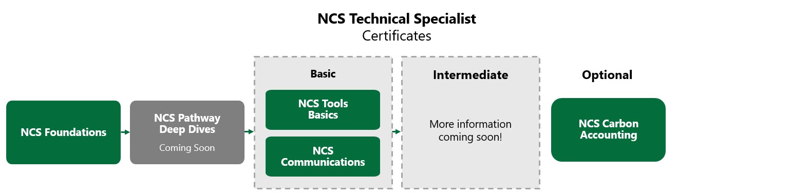 NCS Technical Specialist Basic Learning Path
