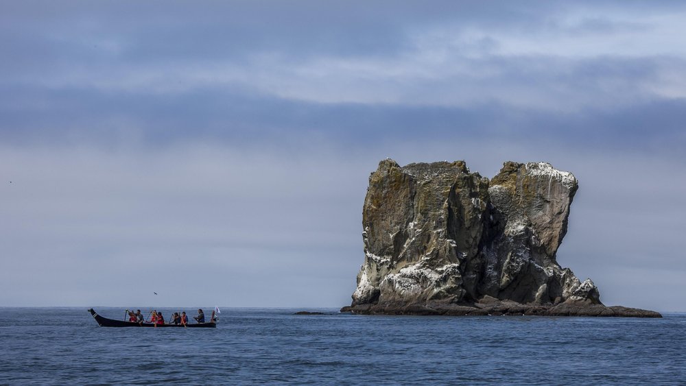 Canoe families