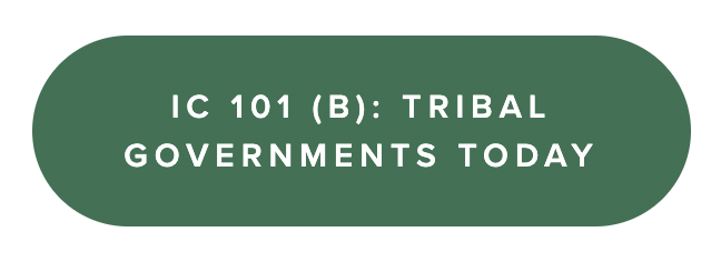 Tribal Governments Today